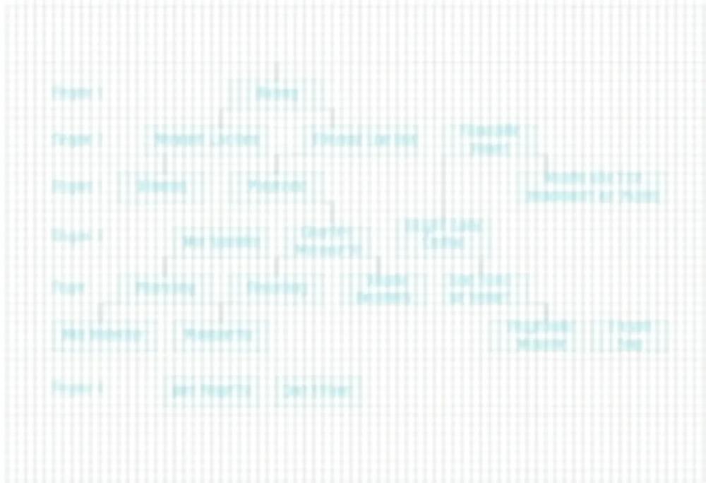 erp implementation